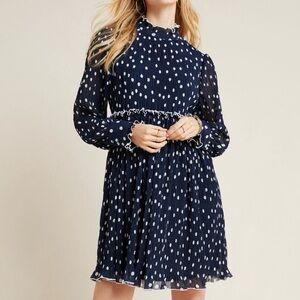 Rayna Dotted Tunic ~ NWOT